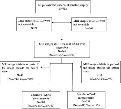 The Appropriateness Criteria of Abdominal Fat Measurement at the Level of the L1-L2 Intervertebral Disc in Patients With Obesity